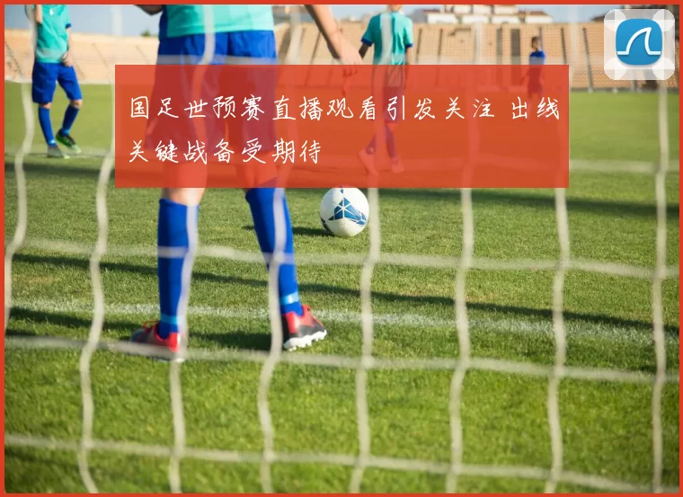 国足世预赛直播观看引发关注 出线关键战备受期待